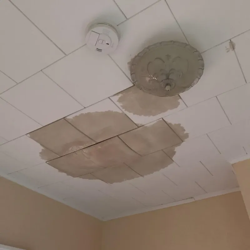Ceiling Water Damage Repair in Racine, WI