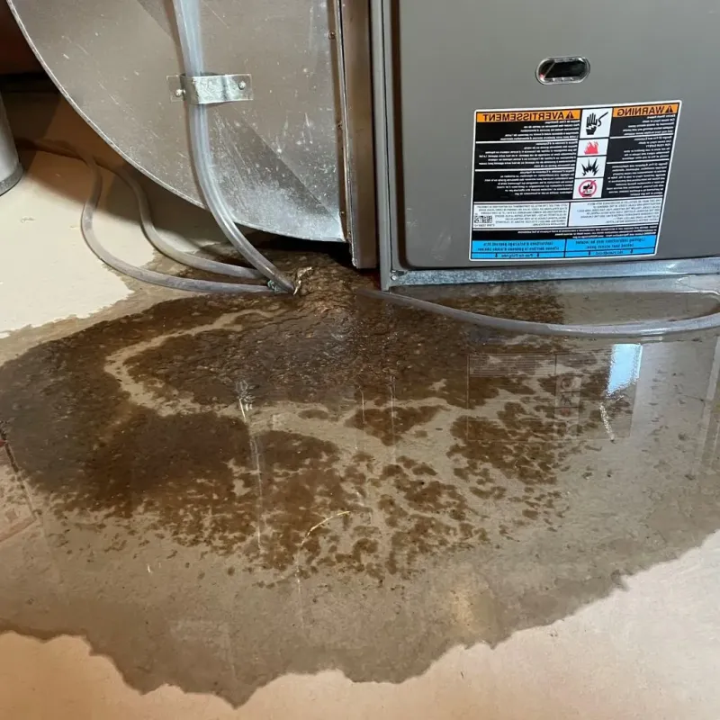 Pipe Burst and Leak Restoration in Racine, WI